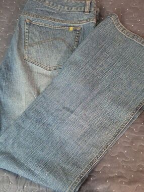Sigrid Olsen Innovator Blue Denim Jeans size 12